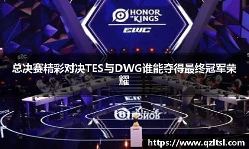 总决赛精彩对决TES与DWG谁能夺得最终冠军荣耀